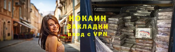 сатива Гусев