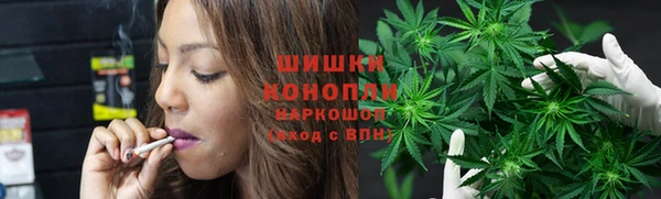 сатива Гусев