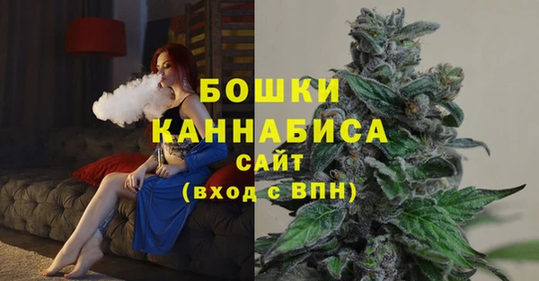 сатива Гусев